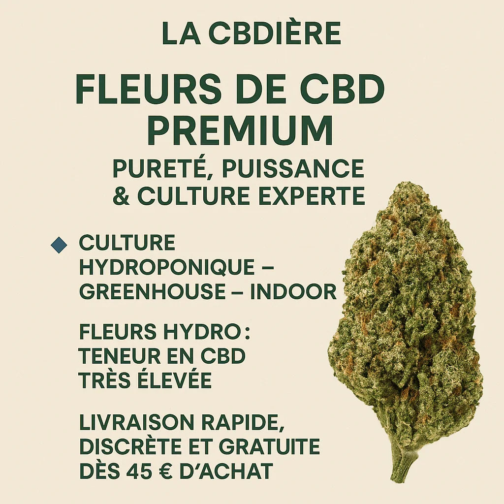 Amnesia Haze HYDRO – fleur CBD puissante