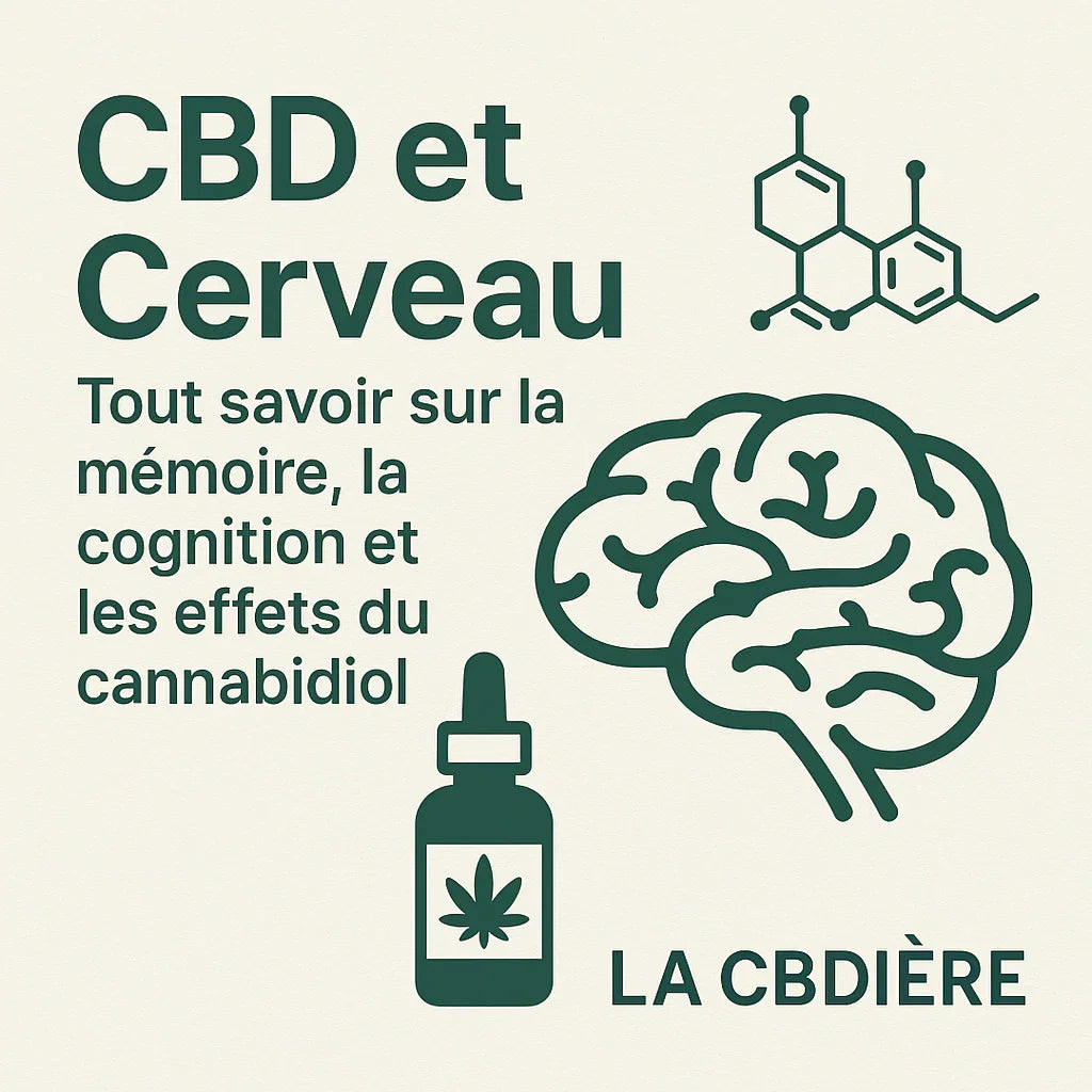 Visuel carré LA CBDIÈRE présentant le thème CBD et cerveau, avec icônes de cerveau, molécule de CBD et flacon d’huile, illustrant les effets du cannabidiol sur la mémoire et la cognition.