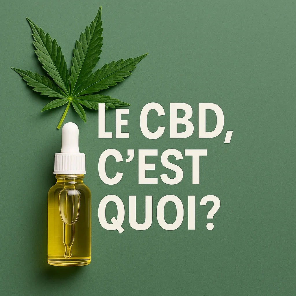 LE CBD, C’EST QUOI ?