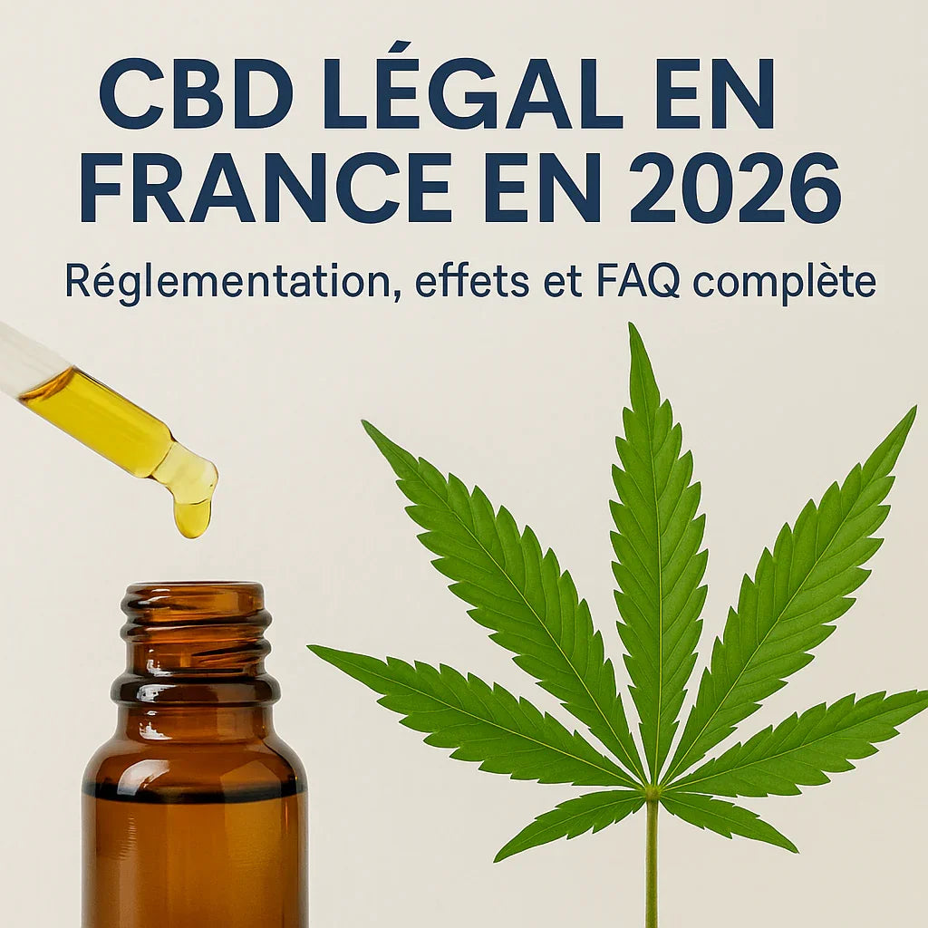 Visuel illustrant le CBD légal en France en 2026 avec flacon d’huile, goutte CBD et feuille de chanvre, guide réglementation et effets par LA CBDIÈRE.