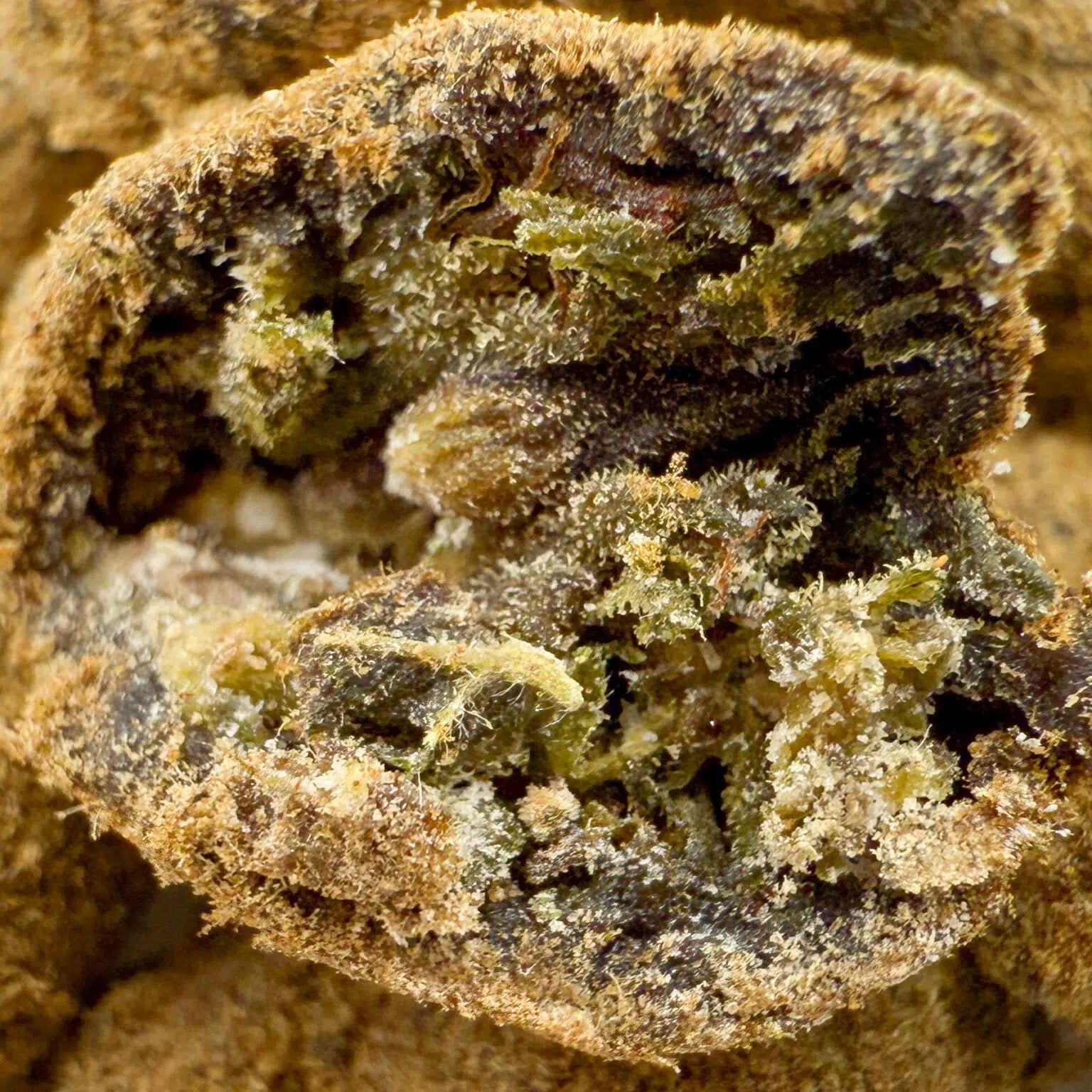 Moonrock CBD 48% fleur premium riche en cannabidiol, culture française bio, THC inférieur à 0,2%