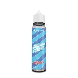 flacon e-liquide menthe fraîche liquideo wpuff avec feuilles de menthe et effet glace