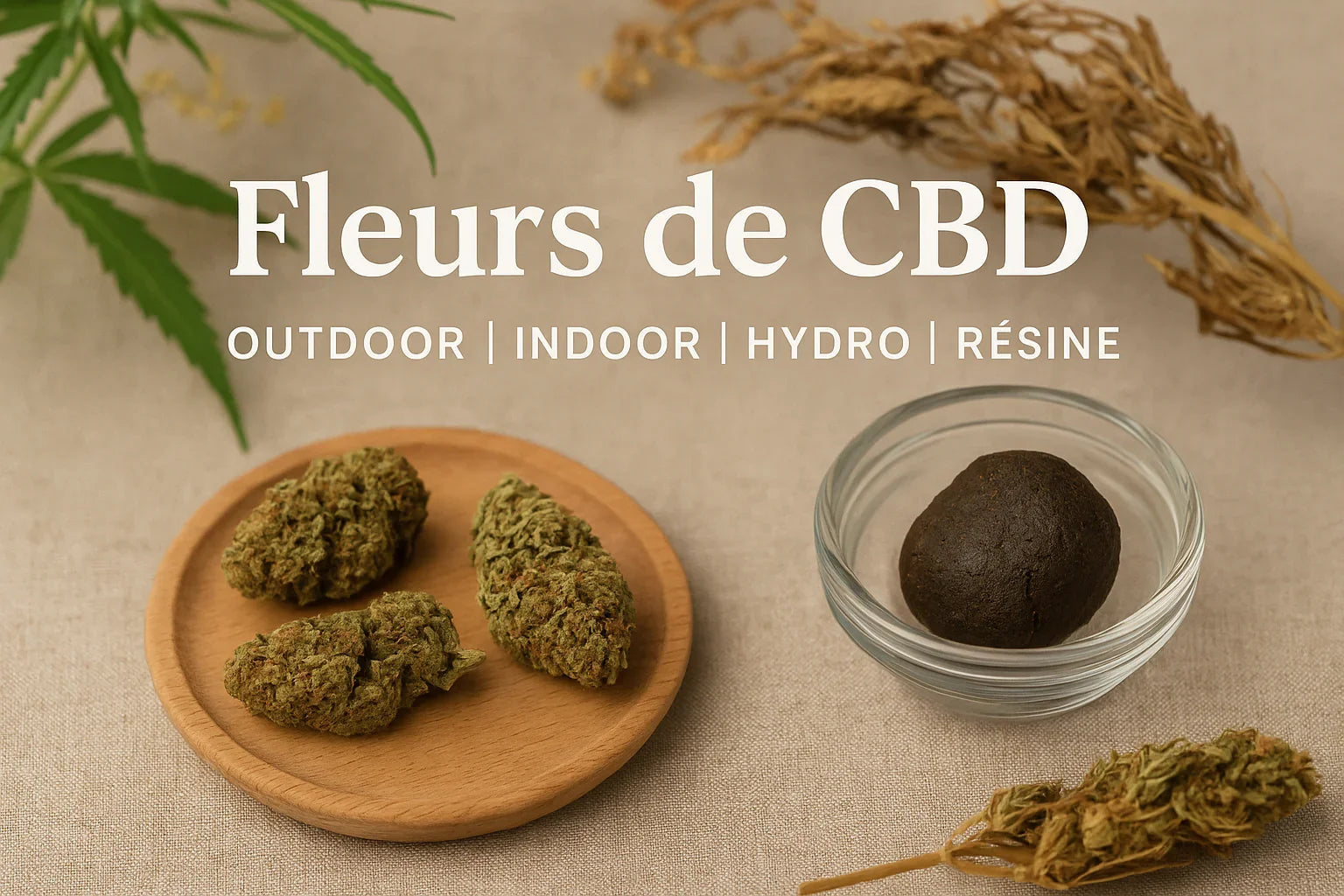 Fleurs de CBD et résine premium – Outdoor, Indoor, Hydro, Greenhouse – LA CBDIÈRE, CBD légal en France avec livraison rapide et discrète