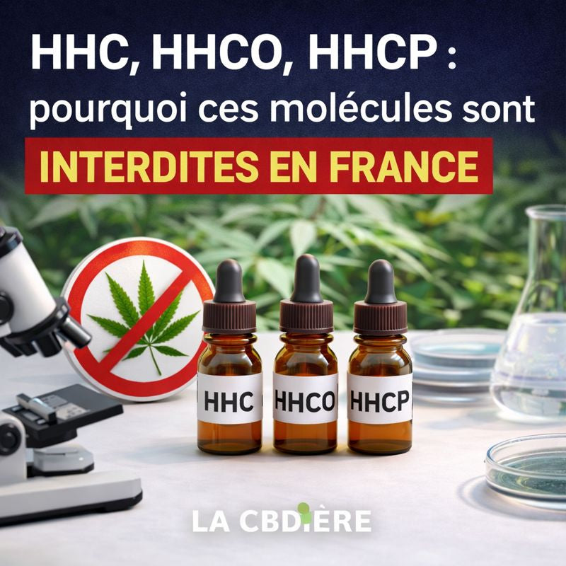 Analyse en laboratoire des molécules HHC, HHCO et HHCP interdites en France, visuel éducatif sur les cannabinoïdes et comparaison avec le CBD légal LA CBDIÈRE