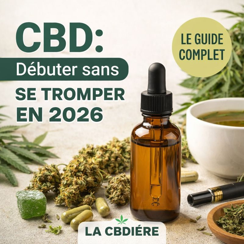 Visuel illustrant l’article “CBD : débuter sans se tromper en 2026”, montrant une huile CBD LA CBDIÈRE entourée de fleurs, capsules, tisane et vape dans un univers naturel.