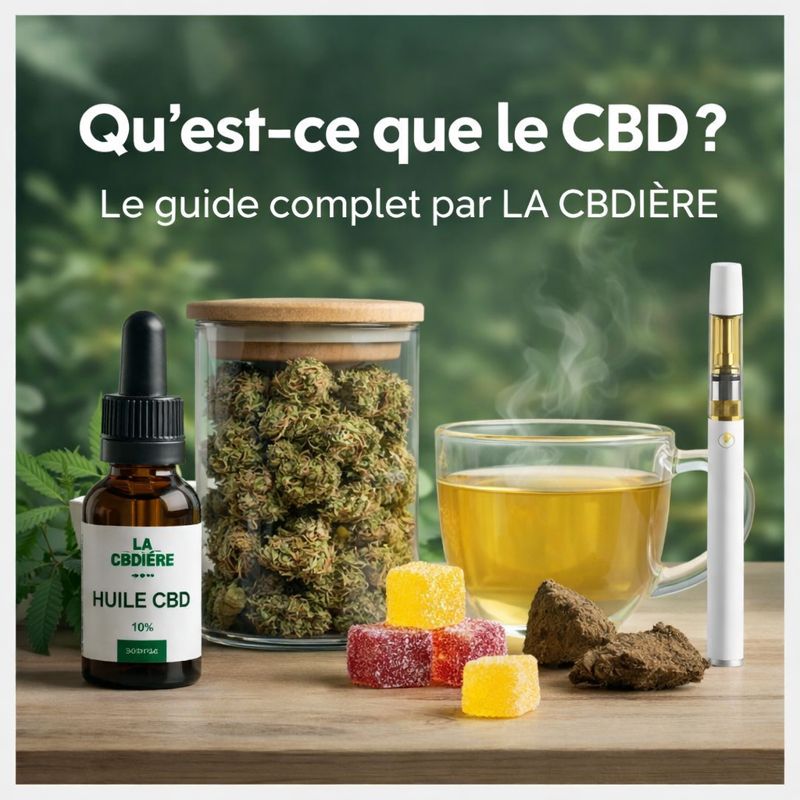 Visuel présentant huile CBD, fleurs CBD, tisane CBD, gummies et vape CBD de LA CBDIÈRE pour illustrer le guide complet sur le cannabidiol.