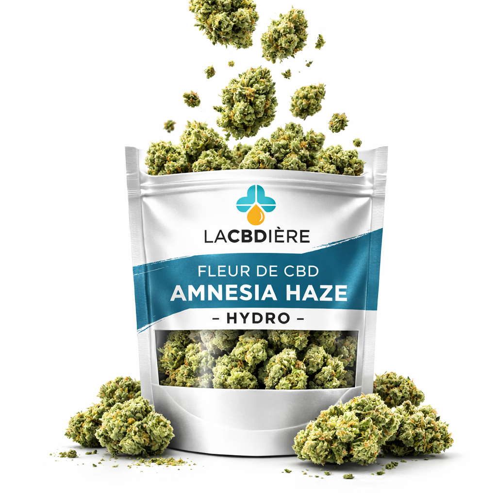 Fleur de CBD Amnesia Haze HYDRO premium LA CBDIÈRE, têtes de cannabis CBD indoor hydroponique, fleurs de CBD légales en France, arômes intenses, qualité supérieure