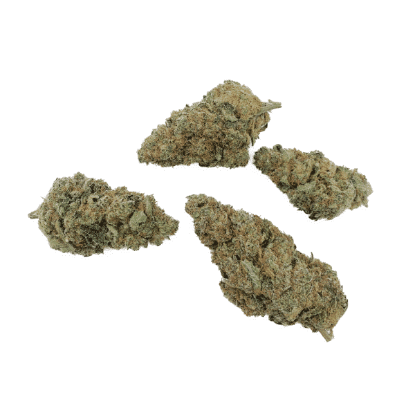 Charlotte’s Angel Hydro fleur de CBD haut de gamme cultivée en indoor hydroponique, buds résineux puissants en CBD pour détente et bien-être