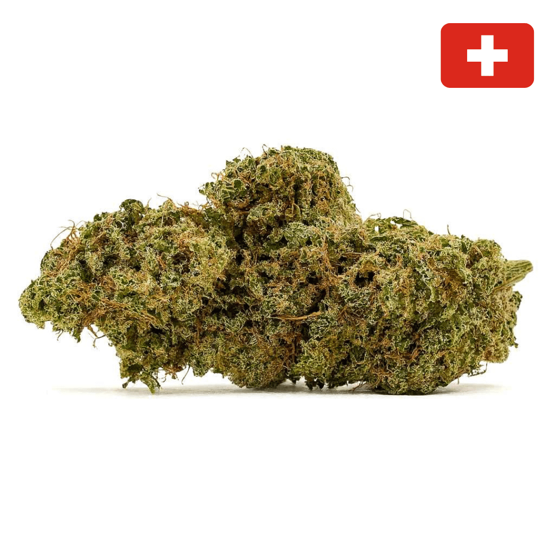 Fleurs de CBD Charlotte’s Angel Indoor Hydro suisse, gros buds premium riches en cannabinoïdes, variété Sativa sans effet psychoactif